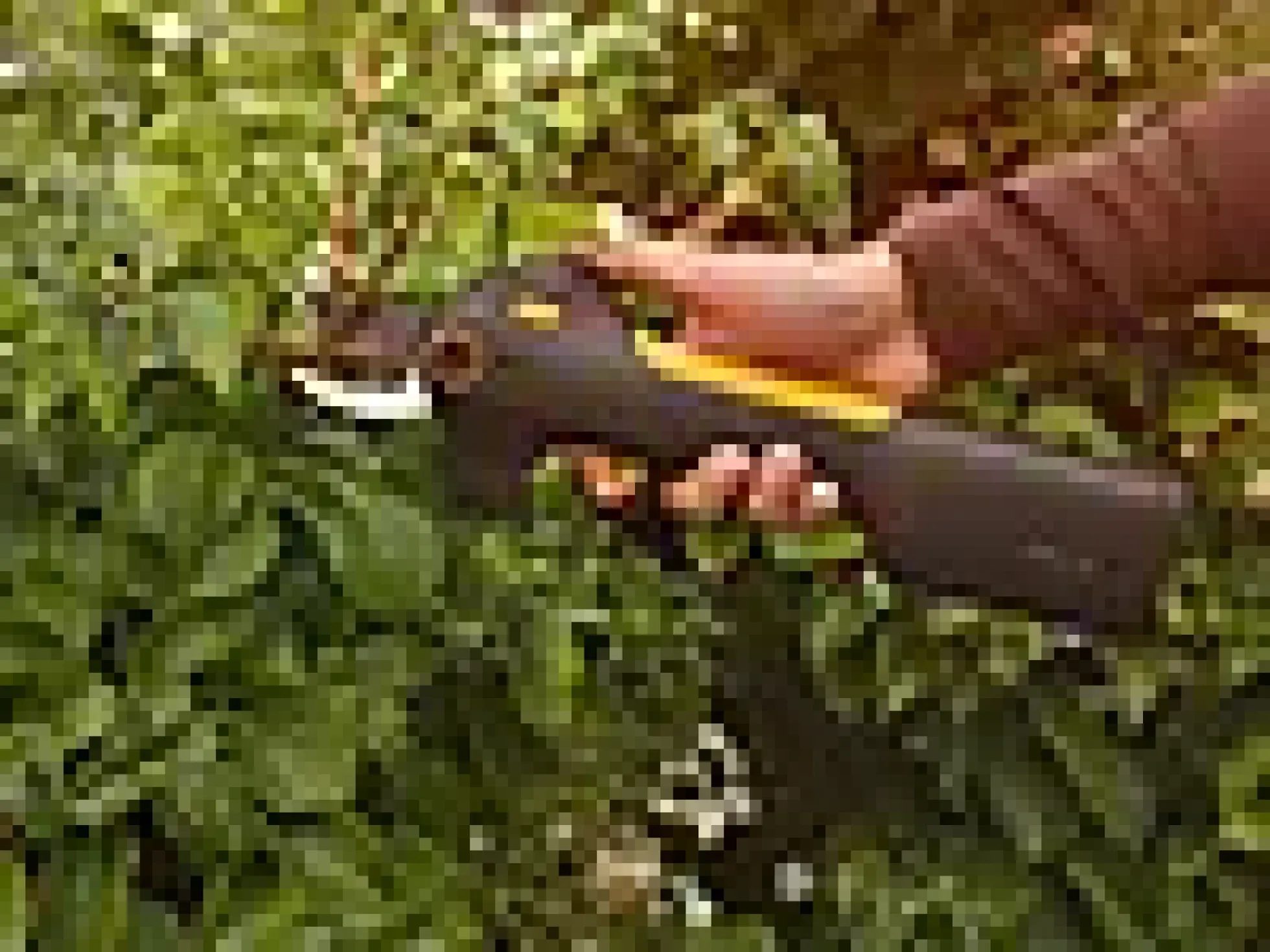 Beskjæringssaks ePruner M
