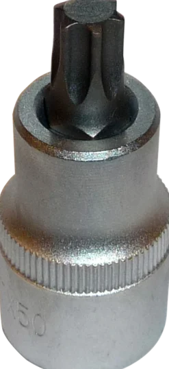 Bitspipe 1/2" TX50