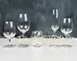 Champagneglass Palace 23,5cl 6stk