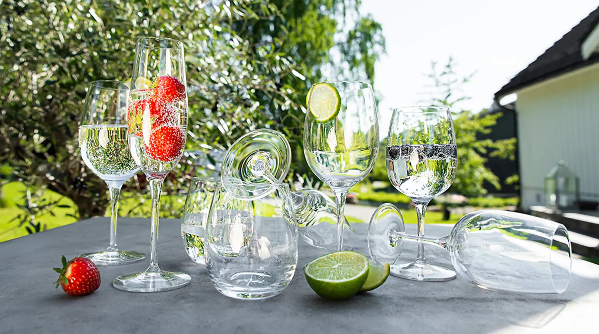 Champagneglass Palace 23,5cl 6stk