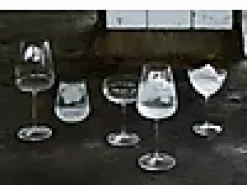 Champagneskål Optica 30cl 4stk