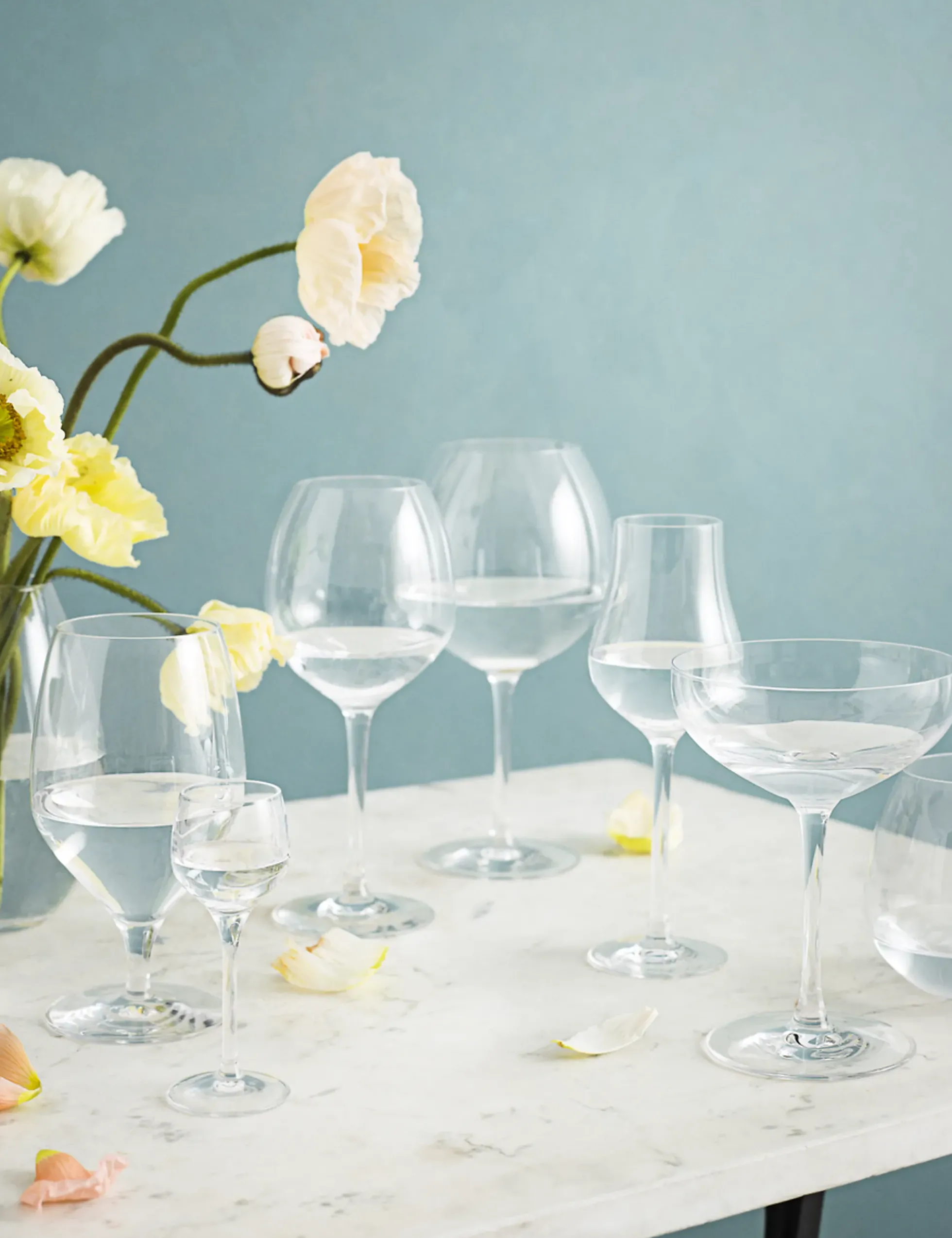 Drammeglass Premium 5cl 2stk