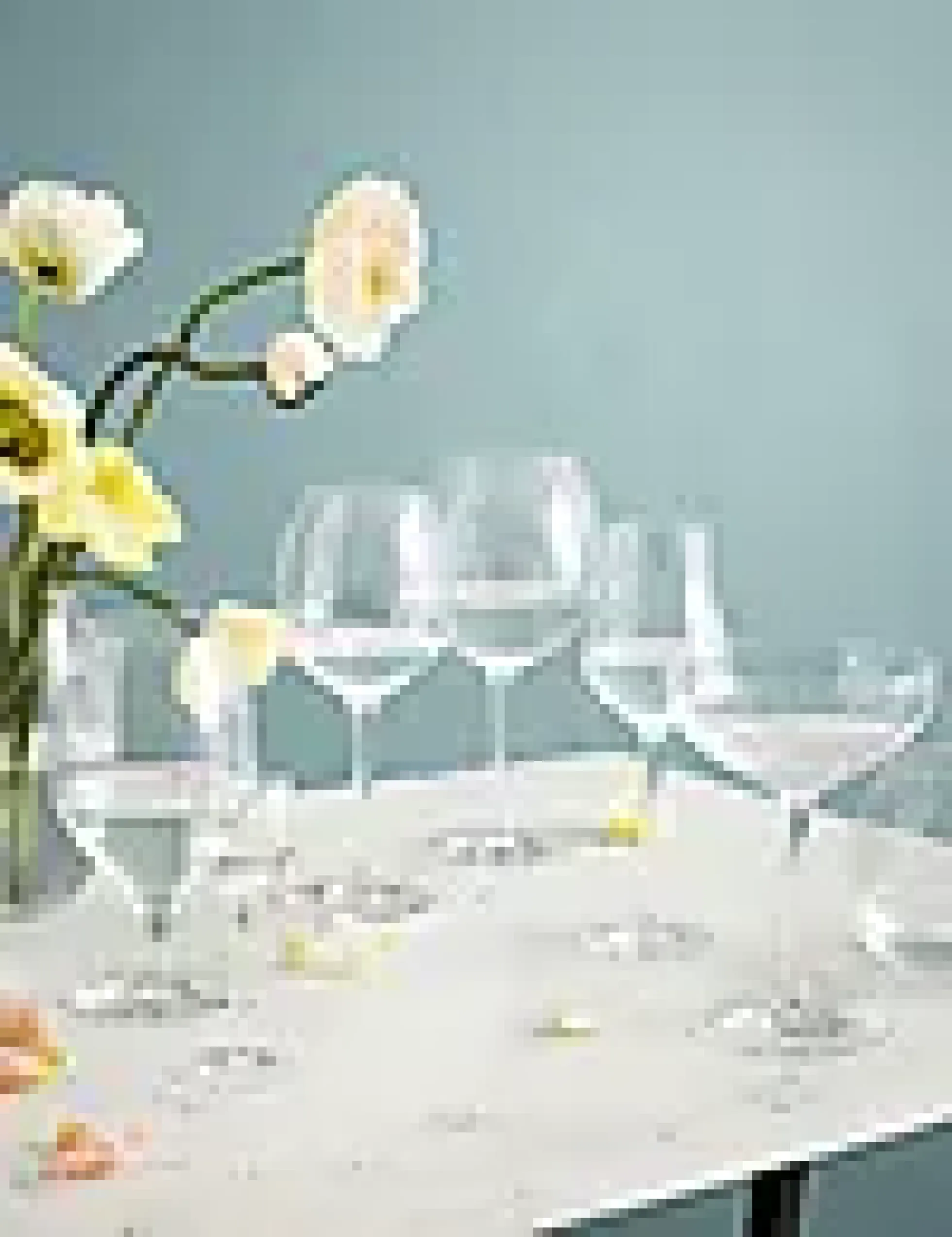 Drammeglass Premium 5cl 2stk