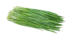 Gressløk frø