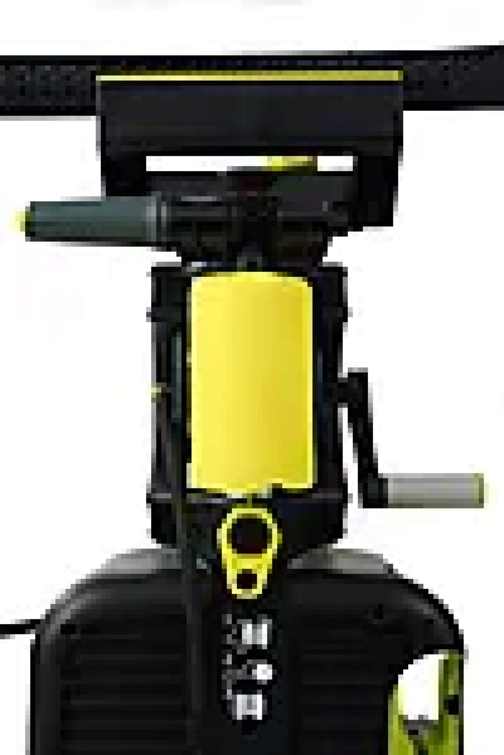Høytrykkspyler Evolution P80 160 bar/600 liter