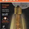 Led Dekorasjonspære E27 Edison 30lm Gold Varmere Lys
