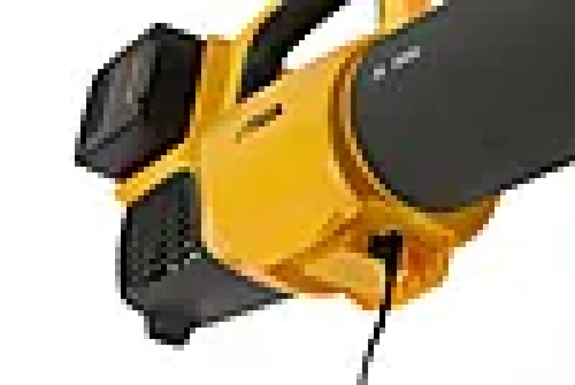 Løvblåser BL 300e Kit - 2x20V ePower Batteridrevet