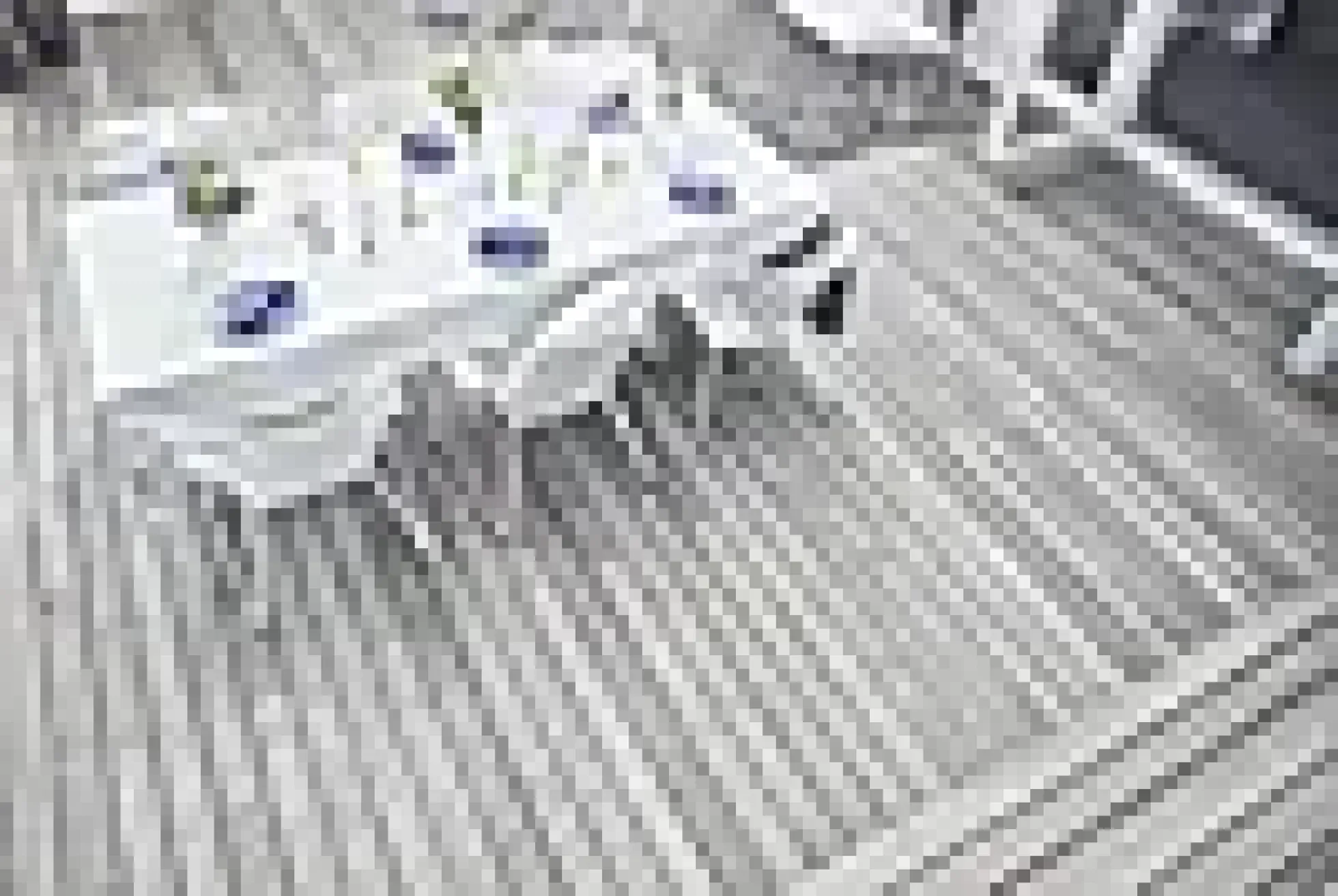 Overflatebeskyttelse terrasse premium 3l