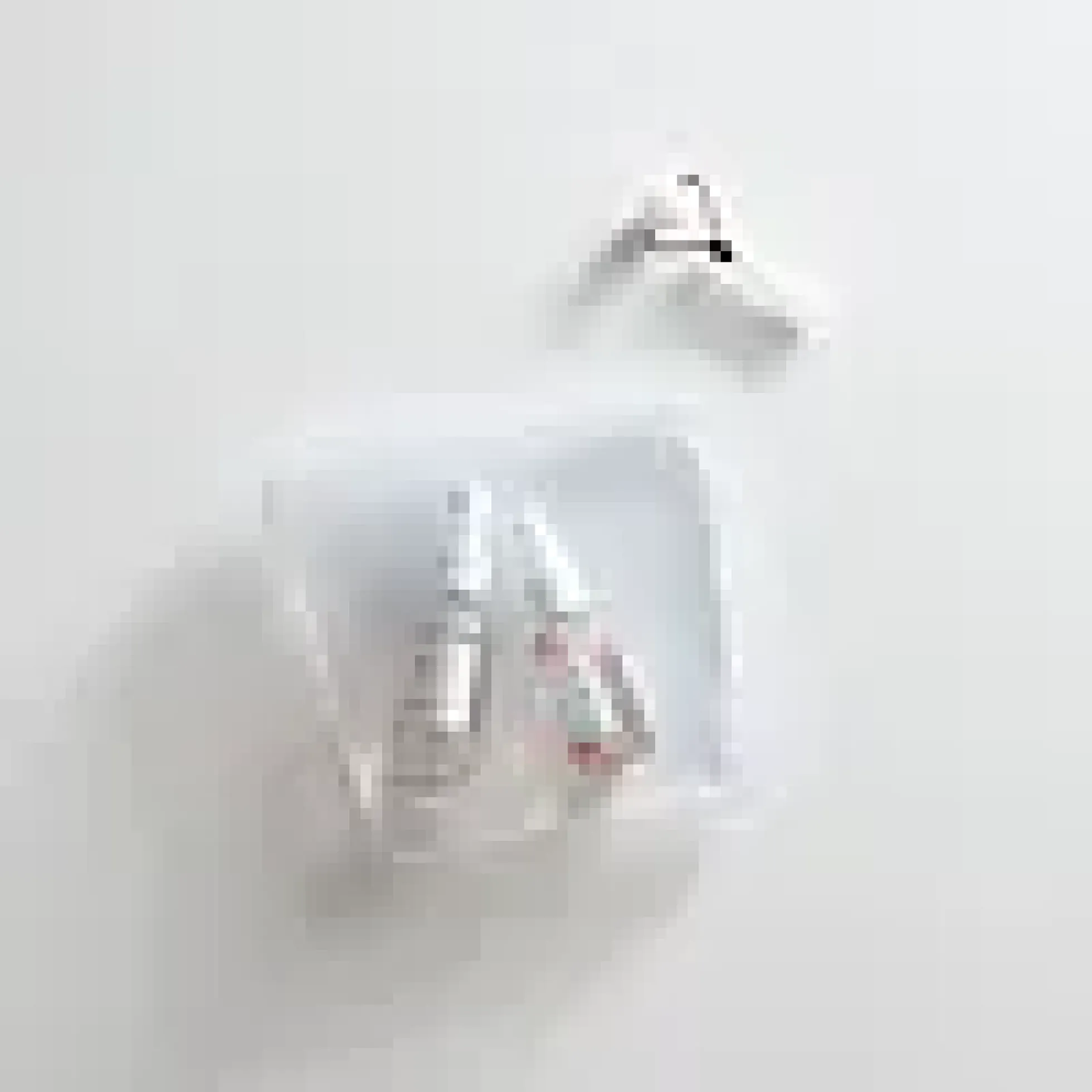 Silikonpose klar 0,45l