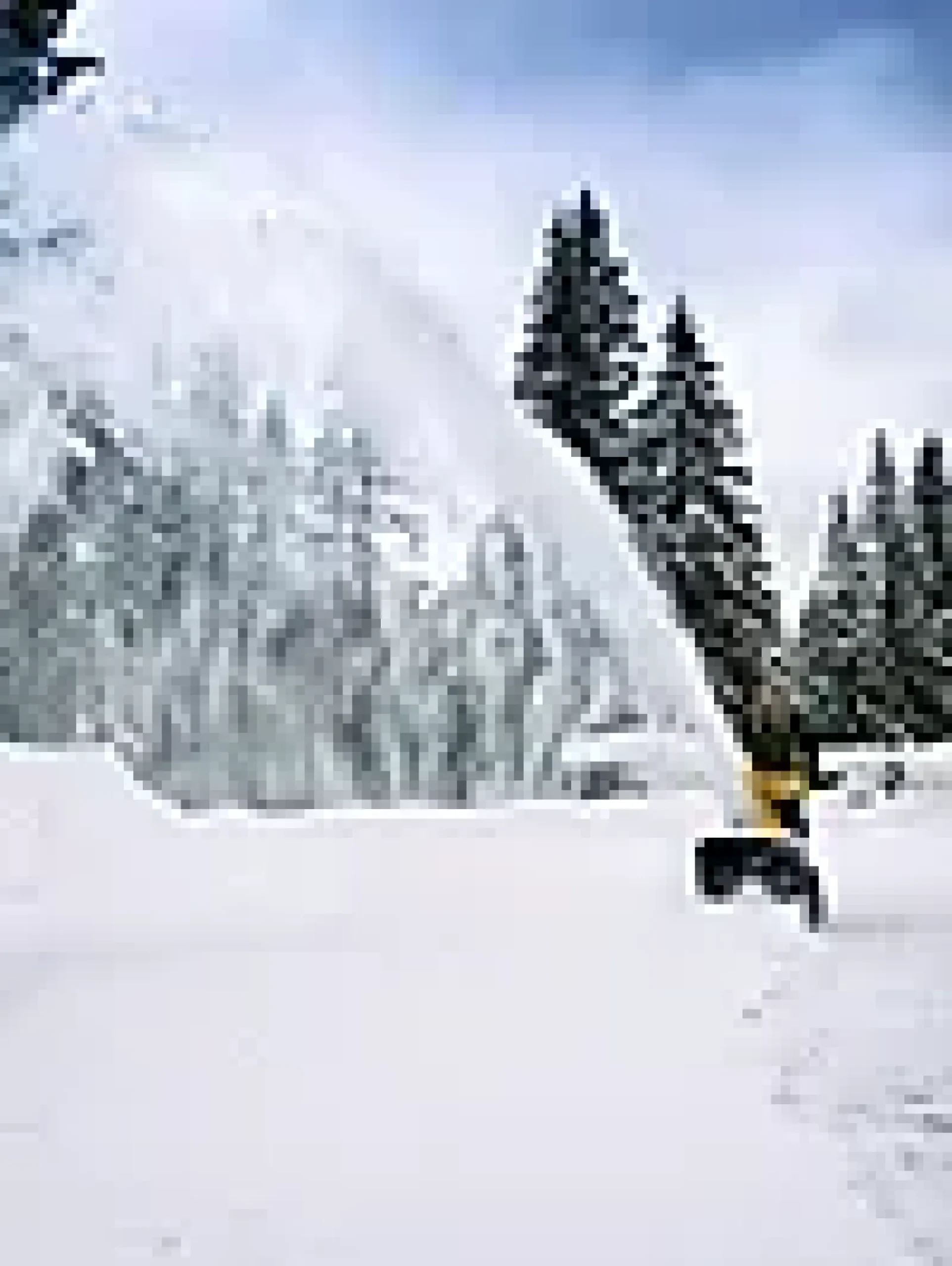 SNØFRESER ST 4262 P
