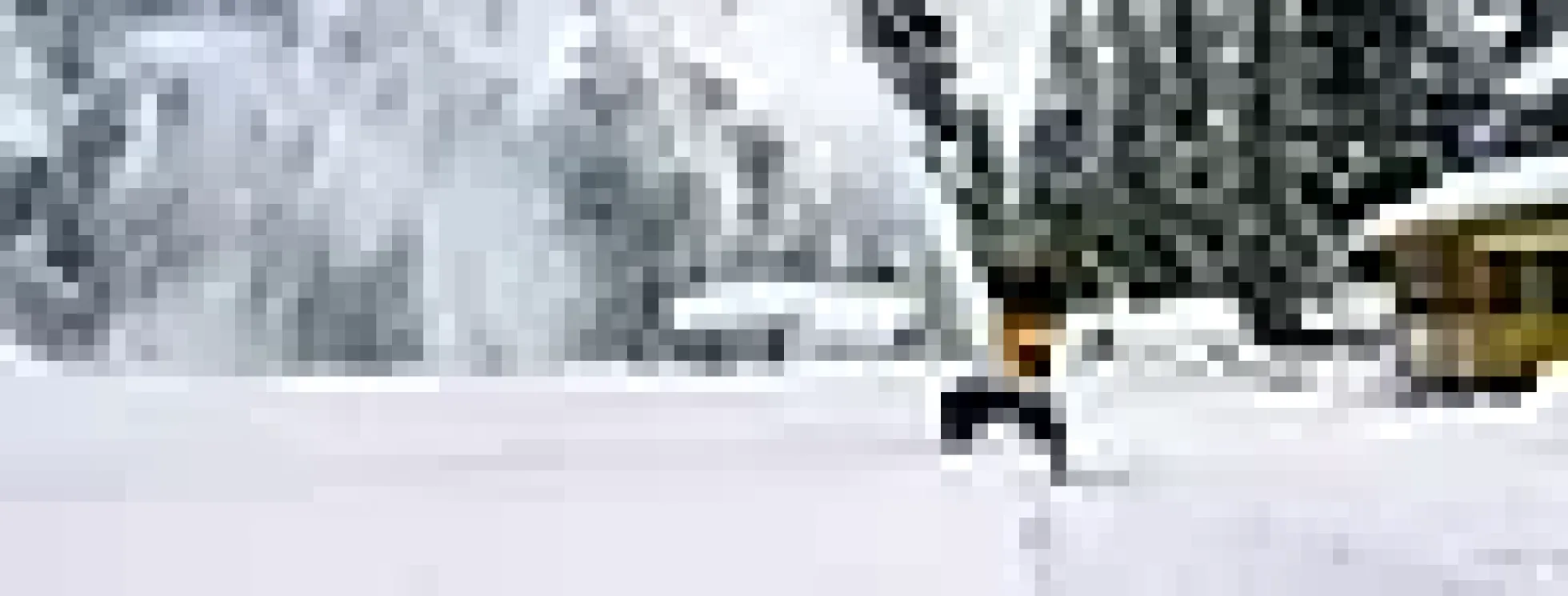 SNØFRESER ST 4262 P