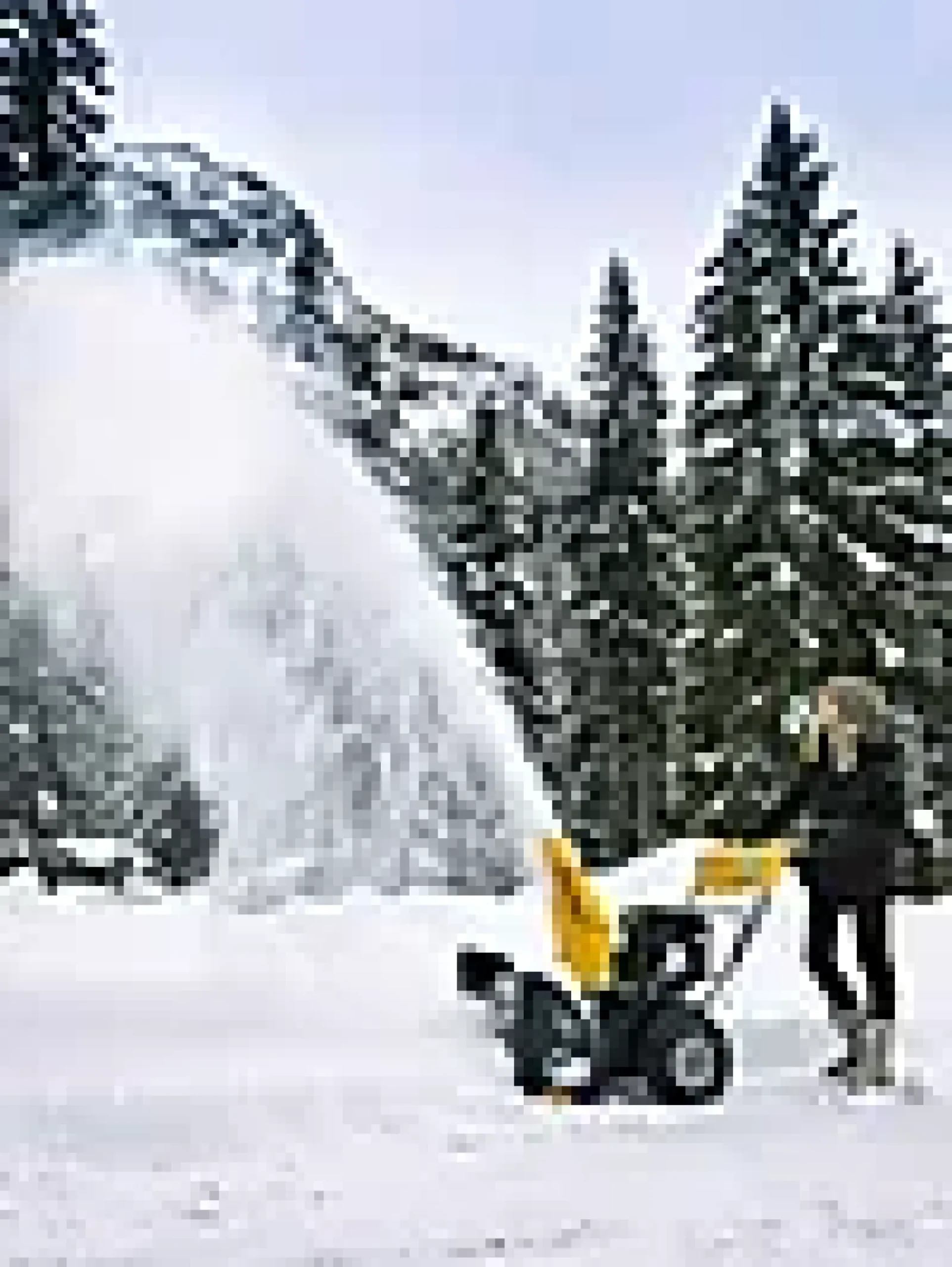 SNØFRESER ST 4262 P