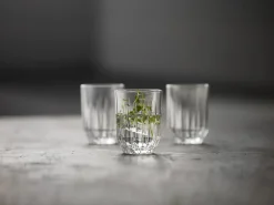 Vannglass Astrid 25cl 6stk