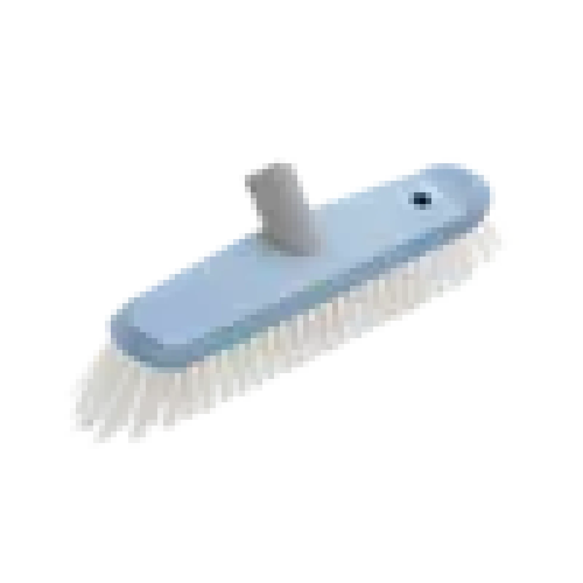 Vaskebørste