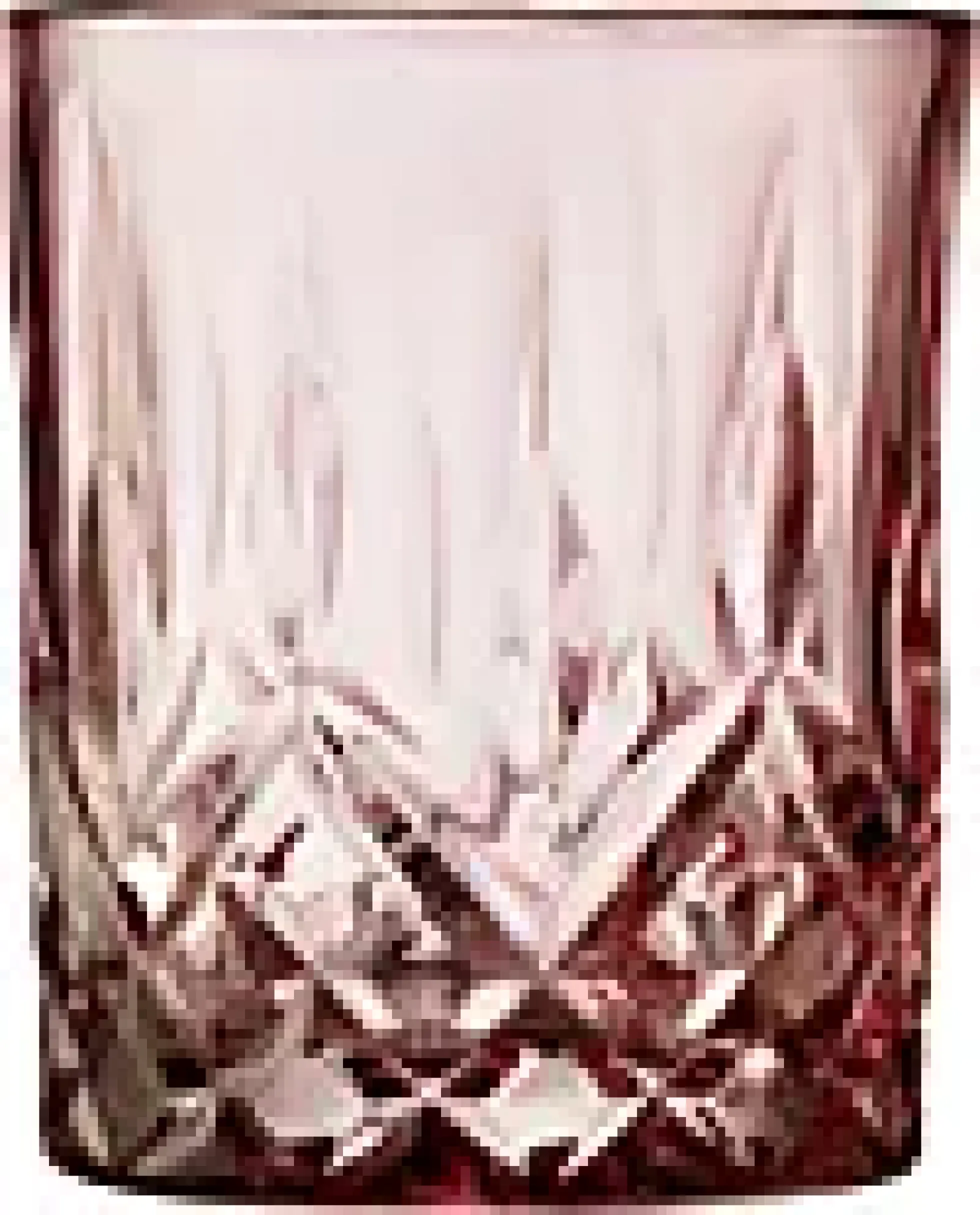 Whiskyglass Sorrento Rosa 32cl 4stk